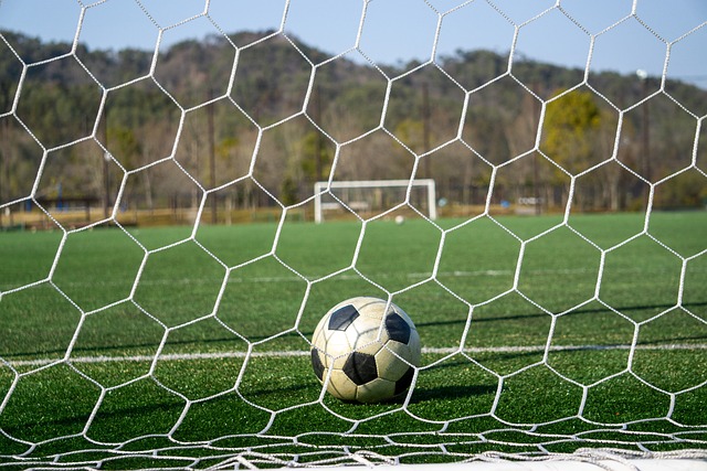 他将有机会 他将有机会