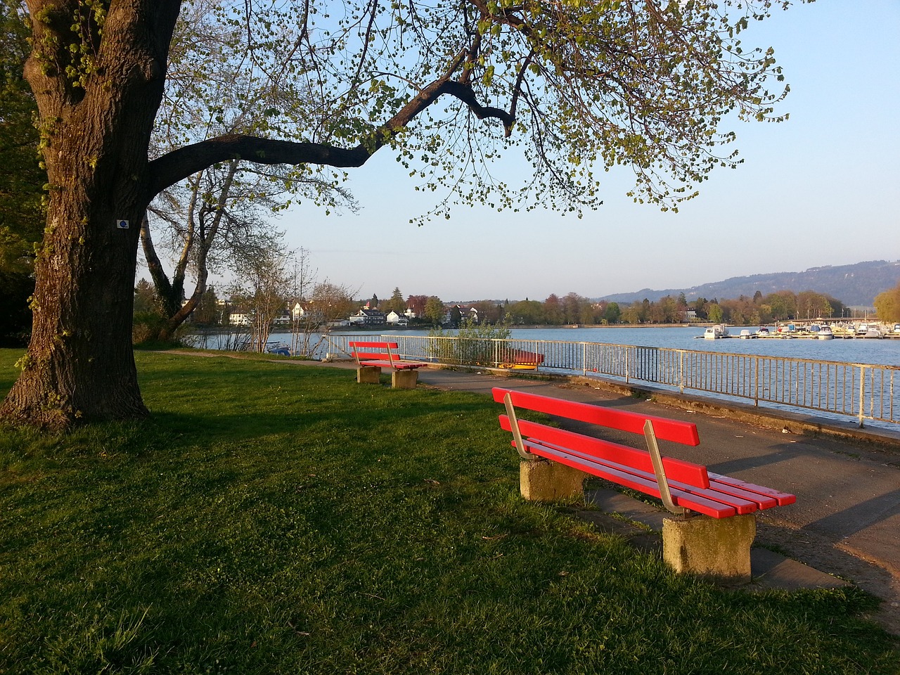 更多依靠自 更多依靠自