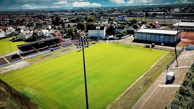 卡佩拉离队 卡佩拉离队