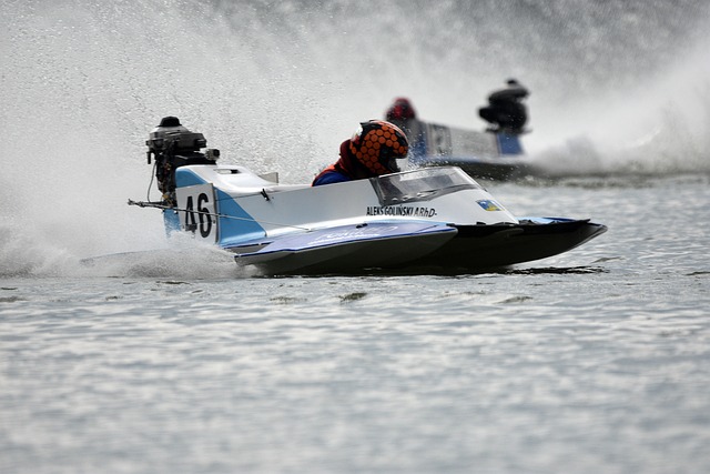 双能中锋 双能中锋