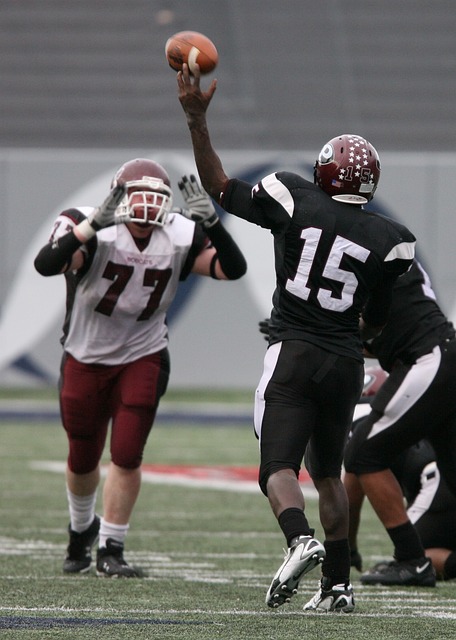 训教体验 训教体验