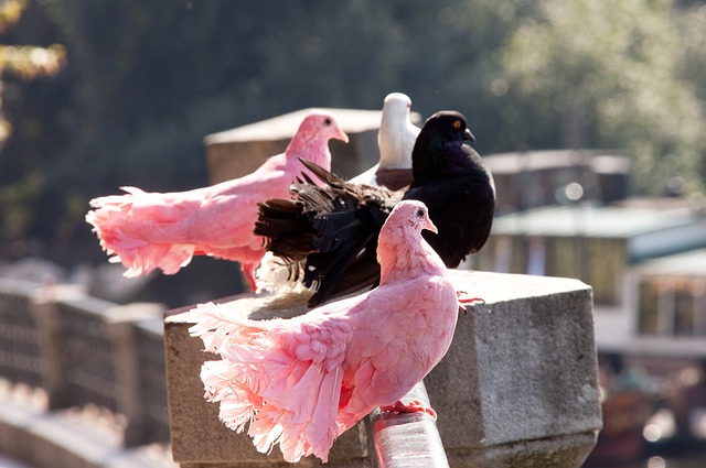 宁波队的韧 宁波队的韧