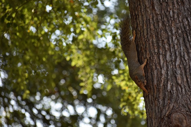普遍预期 普遍预期