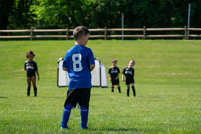 员的专长结 员的专长结